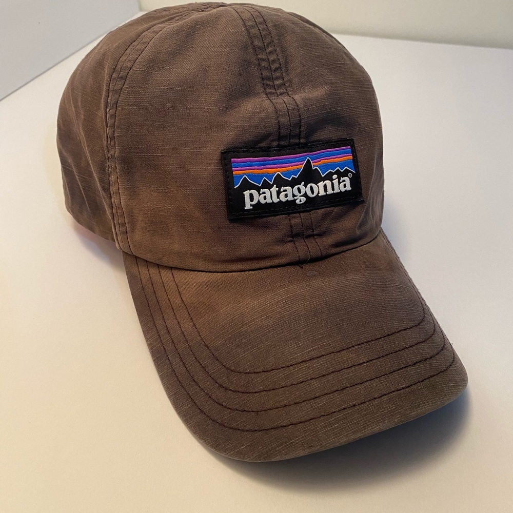 Adjustable Patagonia dad hat